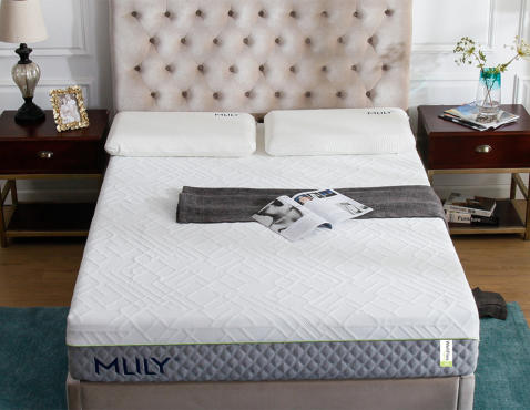 MLILY Wellflex 2.0 Memory Foam Mattress