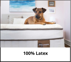 Englander 100% Latex Mattresses at Jerry's Furniture in Jamestown North Dakota